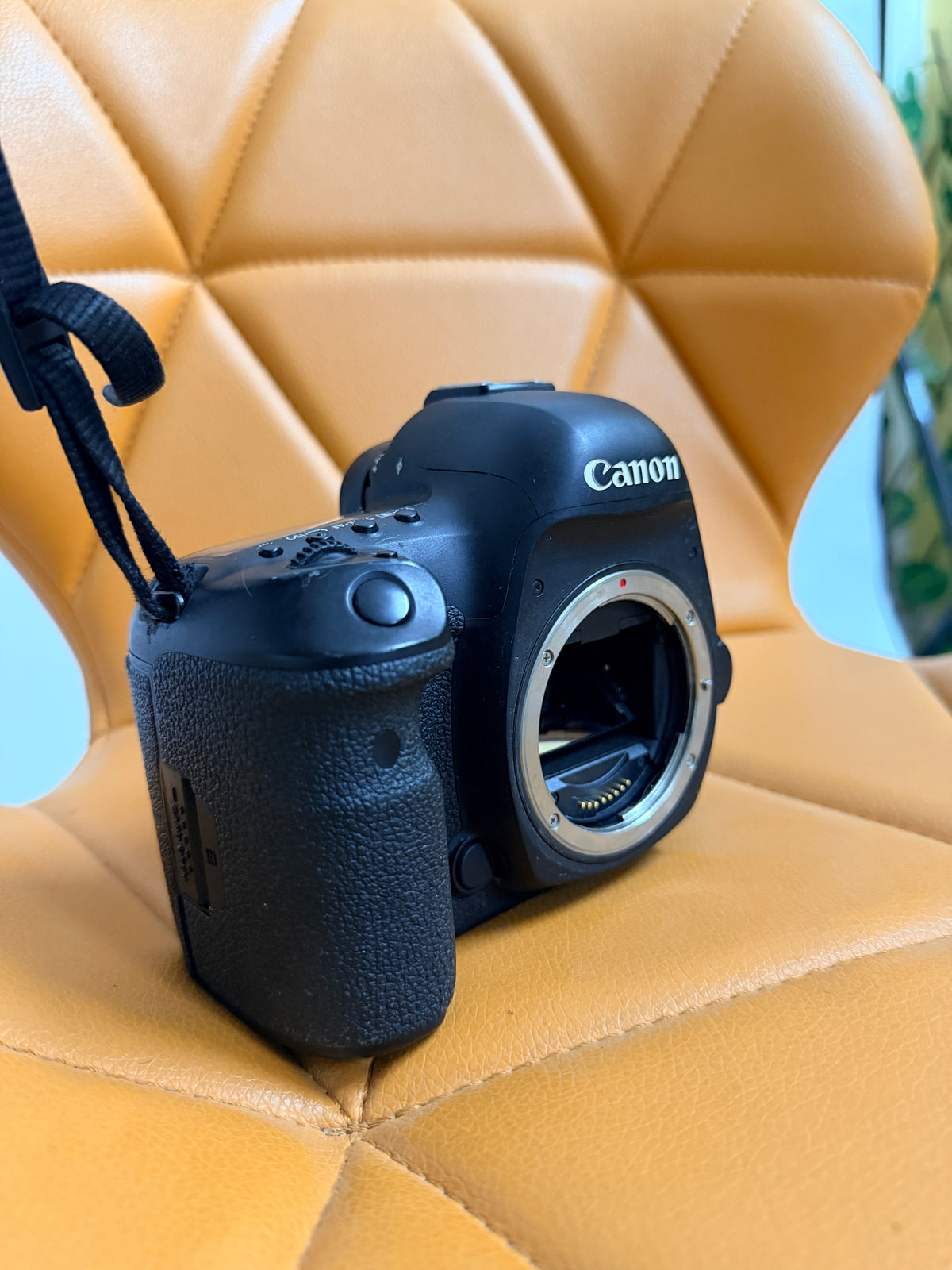 Canon EOS 5D Mark IV – Boîtier